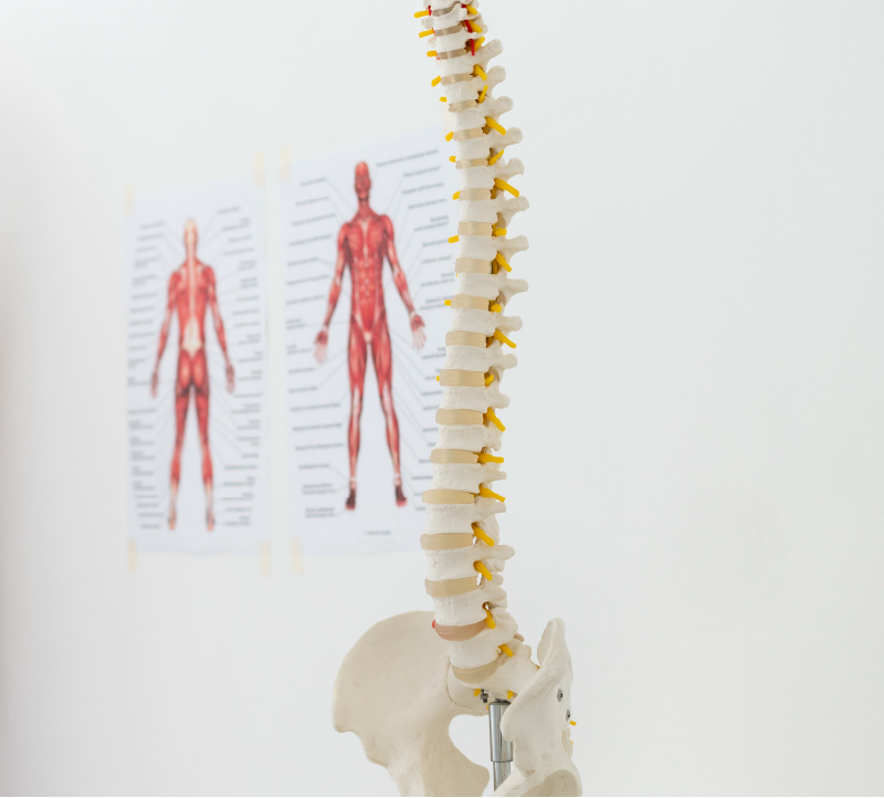 Giovanni_Cappello_Osteopata_Massoterapista_formazione